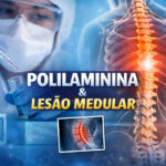 Infográfico científico com o título "POLILAMININA & LESÃO MEDULAR". À esquerda, um pesquisador usando máscara e óculos de proteção manipula tubos de ensaio em um laboratório. À direita, uma ilustração anatômica do tronco humano destaca a coluna vertebral com um ponto brilhante em laranja, simbolizando uma lesão. Há também uma pequena imagem de raio-X detalhando a área afetada na coluna.