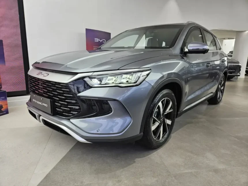Byd songo na cor cinza